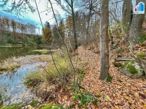 Prodej rybníku, Čmelíny - Víska, 14487 m2