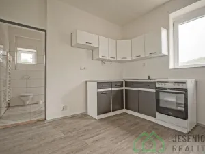 Pronájem bytu 1+1, Vápenná, 42 m2