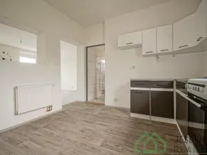 Pronájem bytu 1+1, Vápenná, 42 m2
