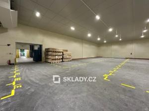 Pronájem skladu, Bohušovice nad Ohří, 520 m2