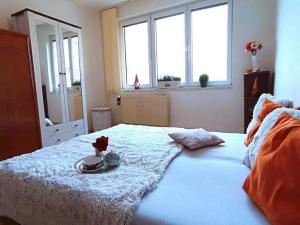 Pronájem bytu 2+kk, České Budějovice - České Budějovice 2, Lhenická, 42 m2