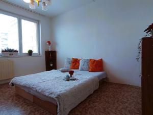 Pronájem bytu 2+kk, České Budějovice - České Budějovice 2, Lhenická, 42 m2