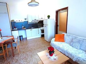 Pronájem bytu 2+kk, České Budějovice - České Budějovice 2, Lhenická, 42 m2
