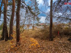 Prodej pozemku pro bydlení, Lužná, 1265 m2