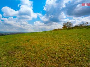 Prodej zemědělské půdy, Šťáhlavy, 8007 m2