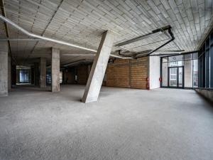 Pronájem obchodního prostoru, Praha - Vinohrady, Dudova, 532 m2