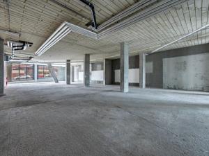 Pronájem obchodního prostoru, Praha - Vinohrady, Dudova, 532 m2