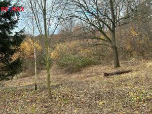 Prodej pozemku pro bydlení, Benešov, 1835 m2