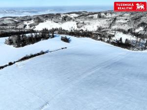 Prodej pozemku pro bydlení, Kořenec, 119009 m2