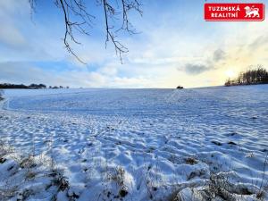 Prodej pozemku pro bydlení, Kořenec, 119009 m2