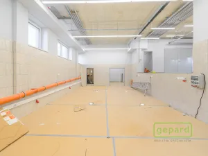 Prodej obchodního prostoru, České Budějovice, Dr. Bureše, 1032 m2