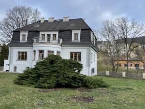 Prodej vícegeneračního domu, Ústí nad Labem - Severní Terasa, Elišky Krásnohorské, 445 m2