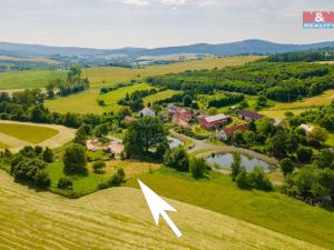 Prodej pozemku pro bydlení, Bělá nad Radbuzou - Čečín, 1325 m2