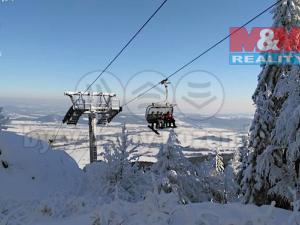 Prodej pozemku pro bydlení, Červená Voda - Mlýnický Dvůr, 7131 m2