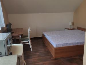 Pronájem bytu 1+kk, Staré Město, Velehradská, 20 m2