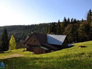 Prodej ubytování, Špindlerův Mlýn - Labská, 450 m2