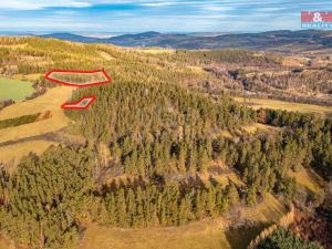 Prodej lesa, Malenice, 30891 m2