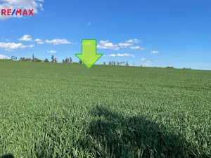 Prodej zemědělské půdy, Bystročice, 7076 m2