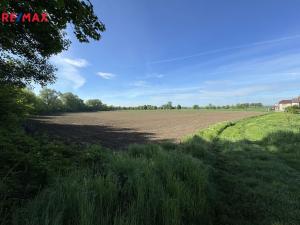 Prodej zemědělské půdy, Bystročice, 13726 m2