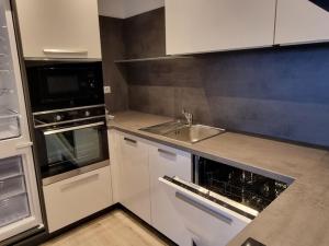 Pronájem bytu 2+kk, Pardubice - Zelené Předměstí, Pod Vinicí, 63 m2