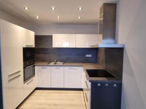 Pronájem bytu 2+kk, Pardubice - Zelené Předměstí, Pod Vinicí, 63 m2