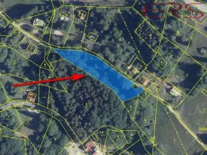 Prodej louky, Lučany nad Nisou - Horní Maxov, 3165 m2