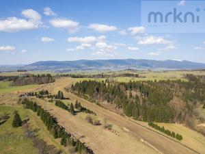 Prodej pozemku pro komerční výstavbu, Branná, 1052 m2