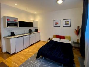 Pronájem bytu 1+kk, Praha - Vinohrady, Korunní, 30 m2