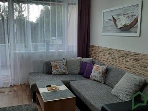 Prodej bytu 2+kk, Všemina, 41 m2