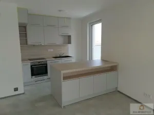 Pronájem bytu 4+kk, Olomouc, Eduarda Hamburgera, 113 m2