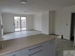 Pronájem bytu 4+kk, Olomouc, Eduarda Hamburgera, 113 m2