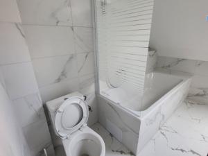 Pronájem bytu 3+1, Brno - Židenice, Kaleckého, 110 m2