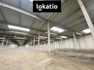 Pronájem skladu, Ostrava, 9653 m2