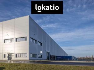 Pronájem skladu, Ostrava, 9653 m2