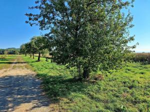 Prodej zemědělské půdy, Mnichovo Hradiště - Sychrov, 140145 m2