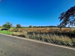 Prodej zemědělské půdy, Mnichovo Hradiště - Sychrov, 140145 m2