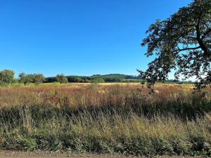 Prodej zemědělské půdy, Mnichovo Hradiště - Sychrov, 140145 m2
