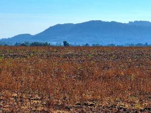 Prodej zemědělské půdy, Mnichovo Hradiště - Sychrov, 140145 m2