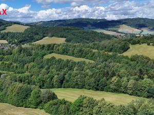 Prodej trvalého travního porostu, Metylovice, 12132 m2