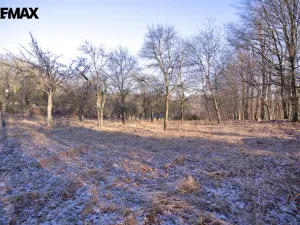 Prodej pozemku pro bydlení, Březnice, 2661 m2