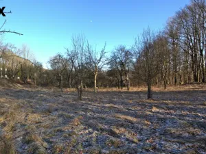 Prodej pozemku pro bydlení, Březnice, 2661 m2