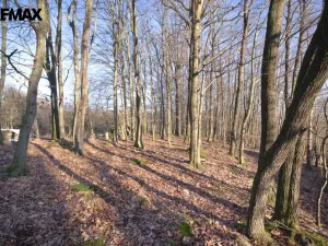 Prodej pozemku pro bydlení, Březnice, 2661 m2