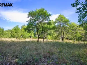 Prodej pozemku pro bydlení, Březnice, 2661 m2