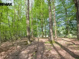 Prodej pozemku pro bydlení, Březnice, 2661 m2