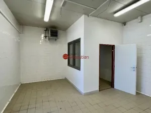 Pronájem výrobních prostor, Jičín - Valdické Předměstí, Dělnická, 178 m2