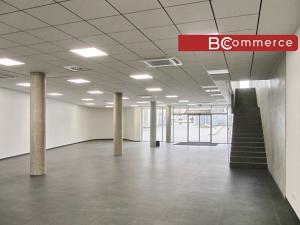 Pronájem obchodního prostoru, Brno, Polní, 460 m2