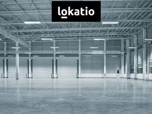 Pronájem skladu, Pohořelice, 19647 m2