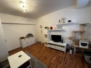 Pronájem bytu 2+1, Praha - Žižkov, Viklefova, 50 m2