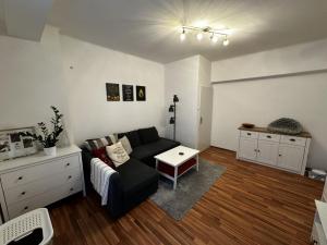 Pronájem bytu 2+1, Praha - Žižkov, Viklefova, 50 m2