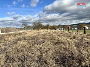 Prodej pozemku pro bydlení, Mladá Vožice, 3813 m2